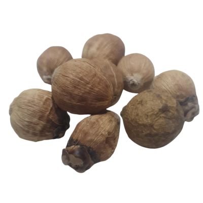 Laghu Nariyal – 1 pc | Price: ₹20