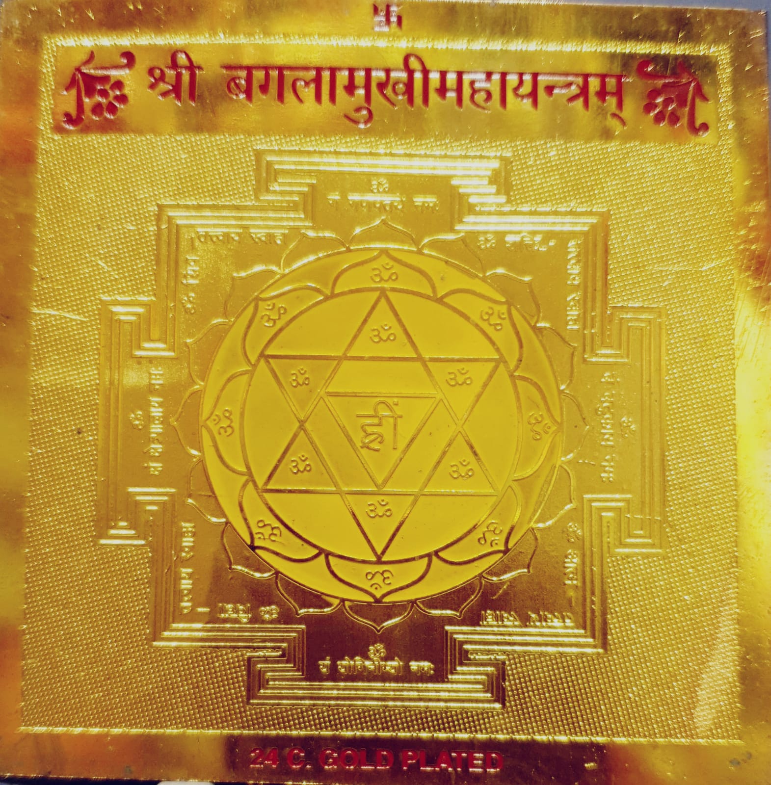 WhatsApp Image 2025-12-08 at 11.53.02