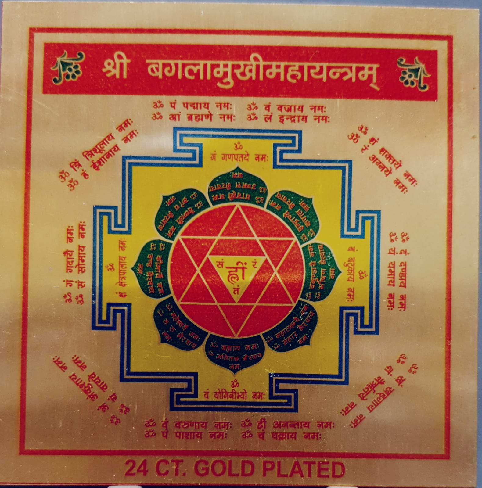 WhatsApp Image 2025-12-08 at 11.56.08