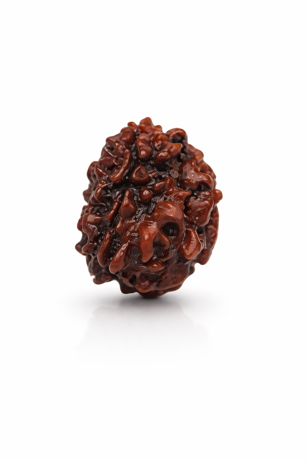 file_00000000decc72089669e68e649e68fb